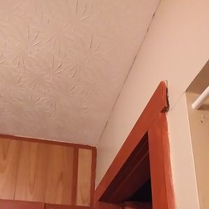 Meet your Posher, Trish